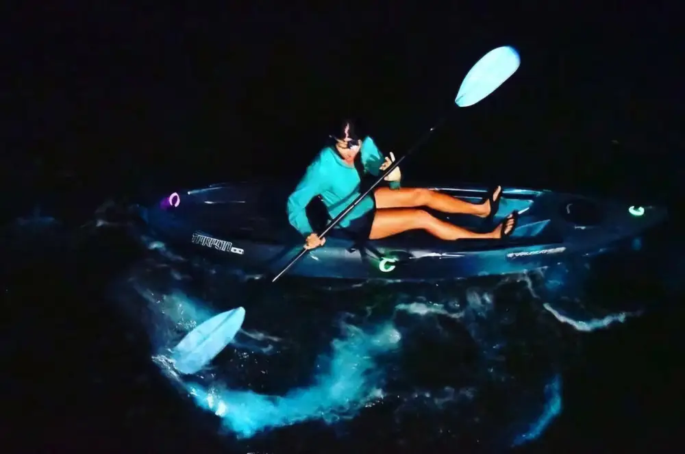 Cat Ba Night Kayaking Experience with Bioluminescent Plankton in Lan Ha Bay รูปที่ 2