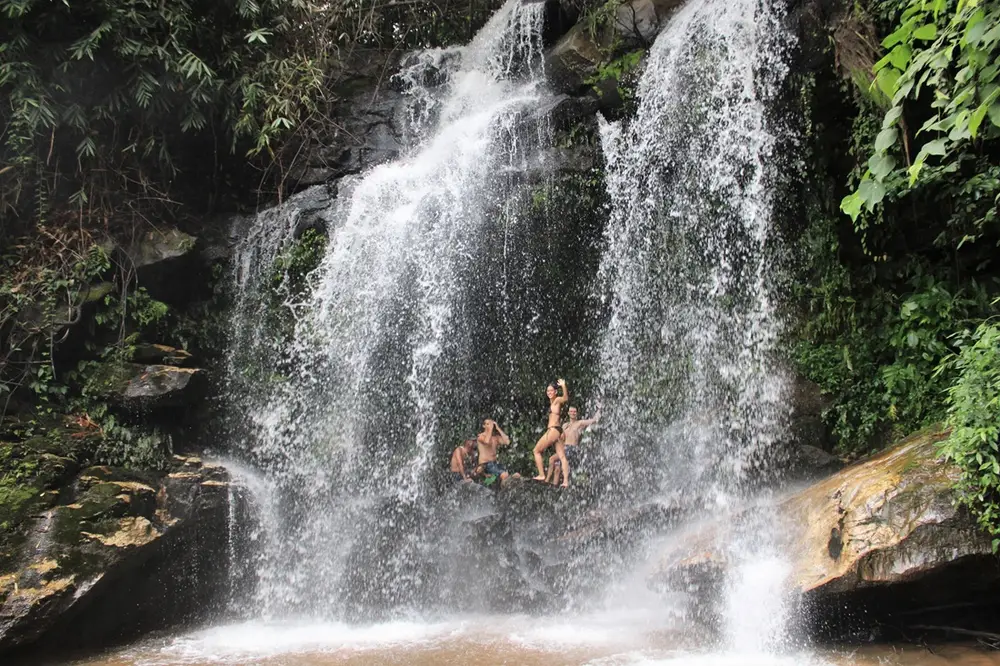 Chiang Mai Elephant Observation, Waterfall Trek & Bamboo Rafting Adventure görseli 1
