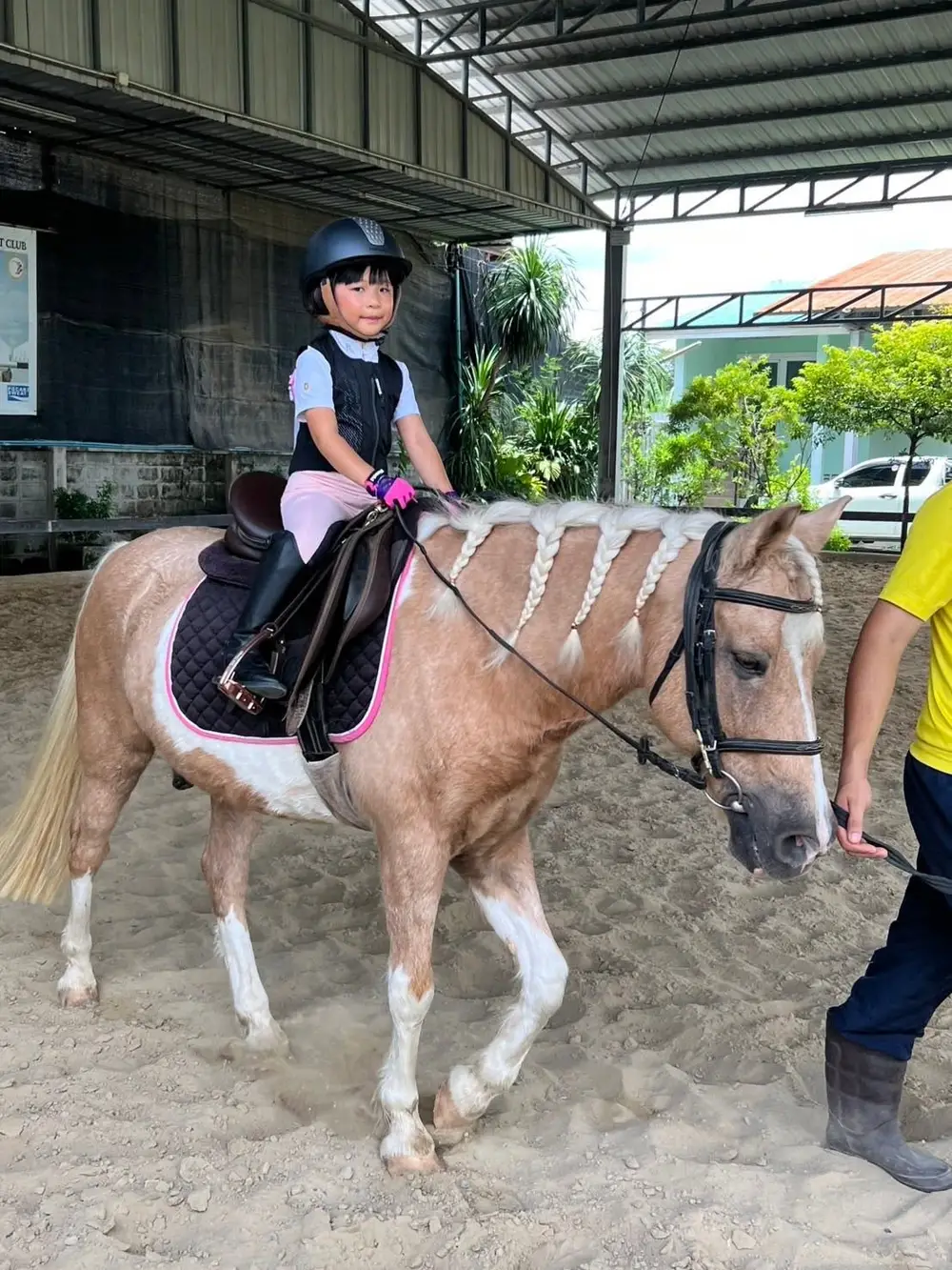 Rayong Horse Riding Experience at Chomview Horse Riding Club image 3