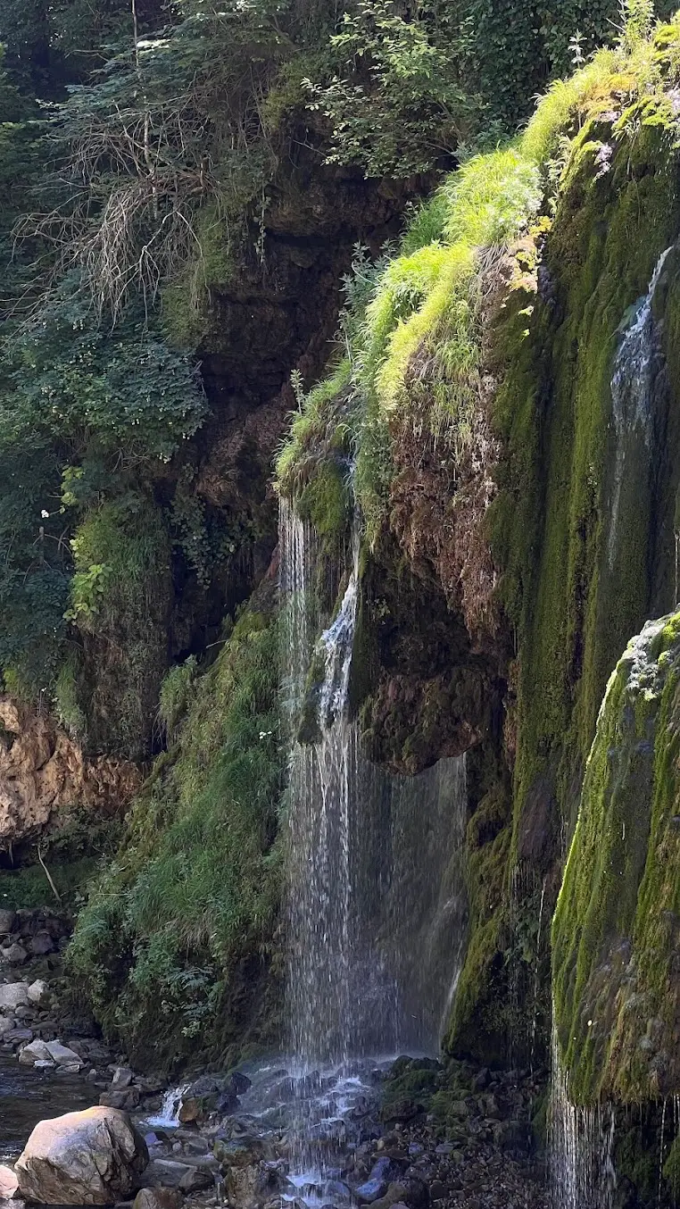 Trabzon to Uzungol Day Tour with Tea Factory, Waterfalls and Kiremitli Bridge image 2