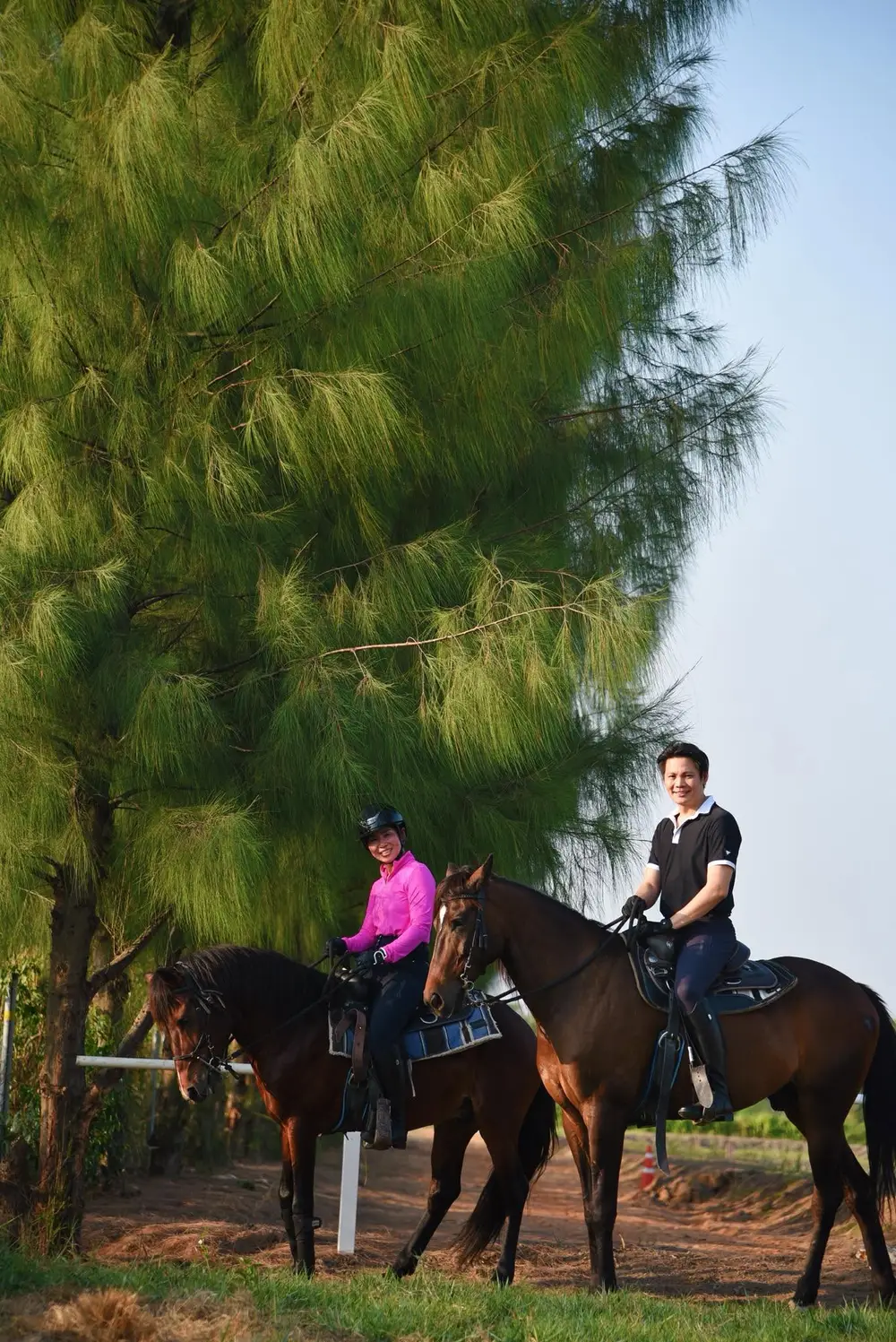 Bangkok Horse Riding and Horseback Archery Experience at Brave Horse Thailand image 2