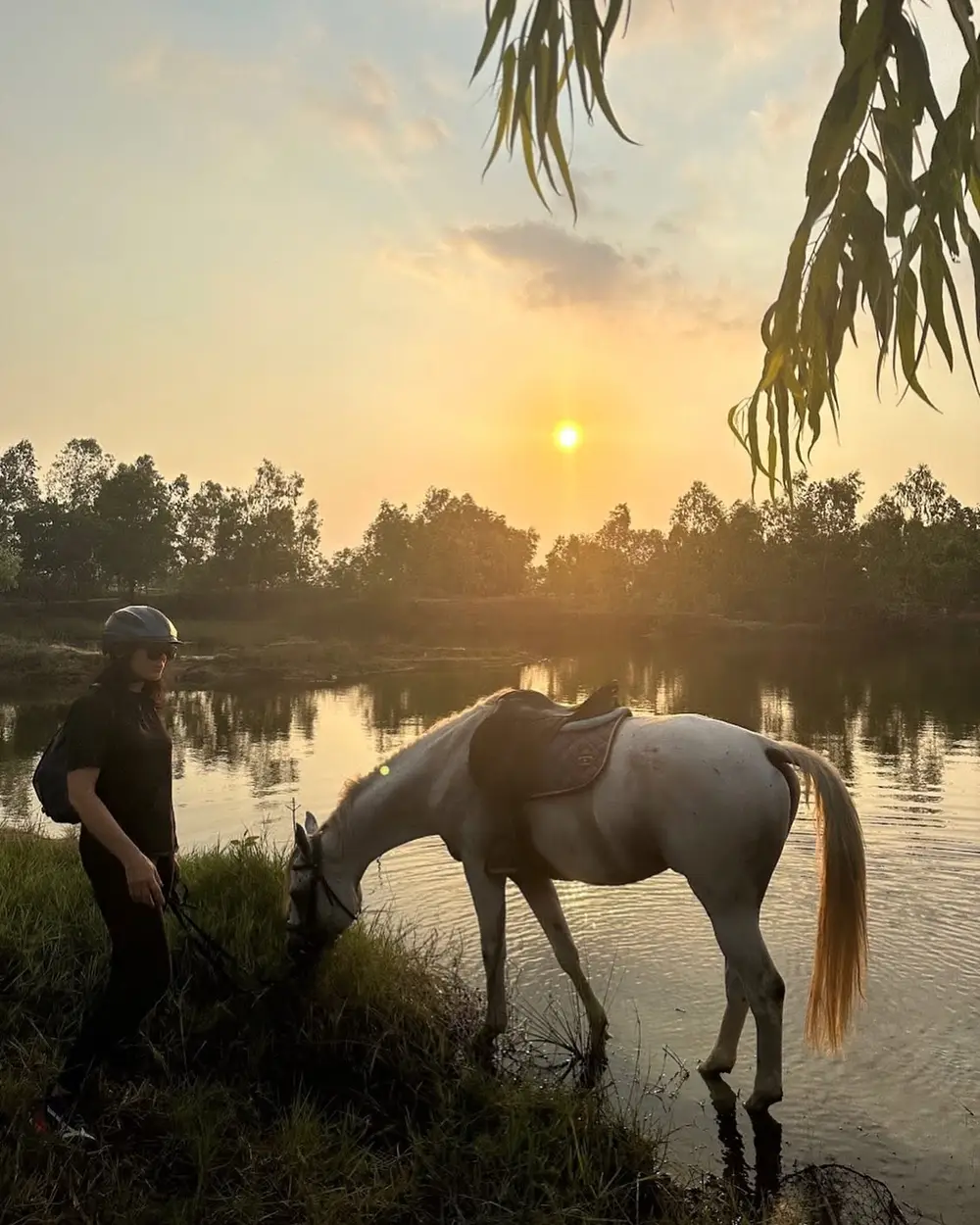 Pattaya Horseback Trail Riding Experience with Wind of Heaven image 1