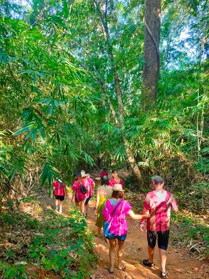 Trekking Explorer Chiang Mai görseli 1