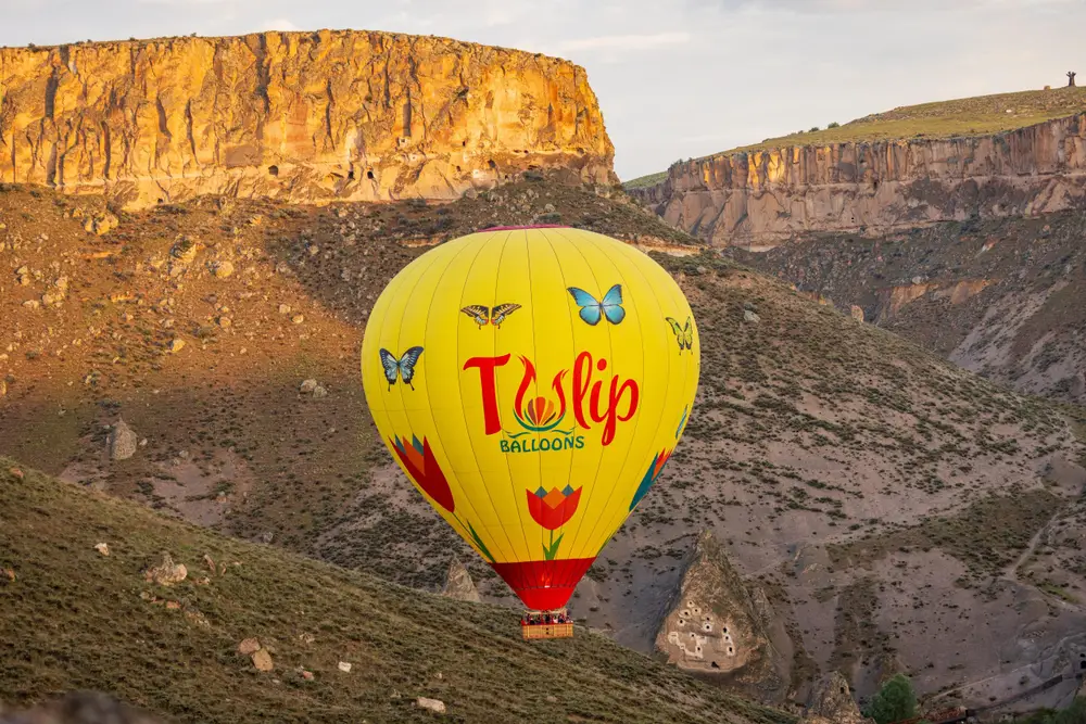 Cappadocia Soganli Valley Hot Air Balloon Flight with Tulip Balloons image 1