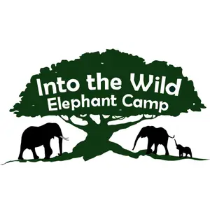 Into The Wild Elephant Camp Chiang Mai logo