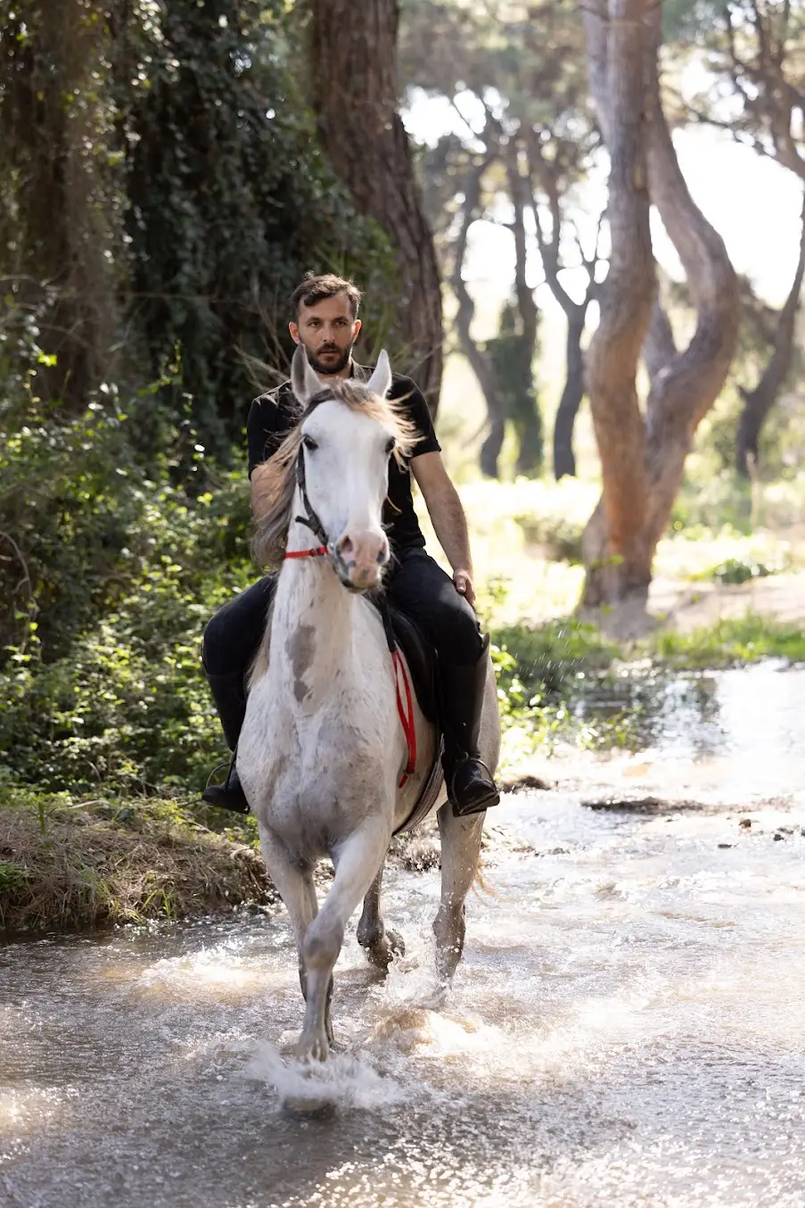 Antalya Horse Riding Tour: Forest Trails and Lara Beach with Rodeo Horse Club image 2