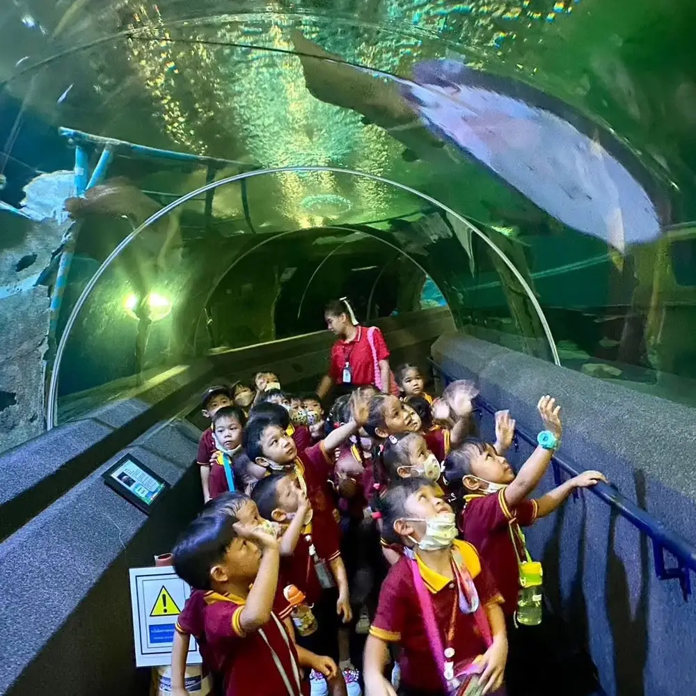 Underwater World Pattaya Admission Ticket 105-Metre Aquarium Tunnel & Feeding Shows görseli 1