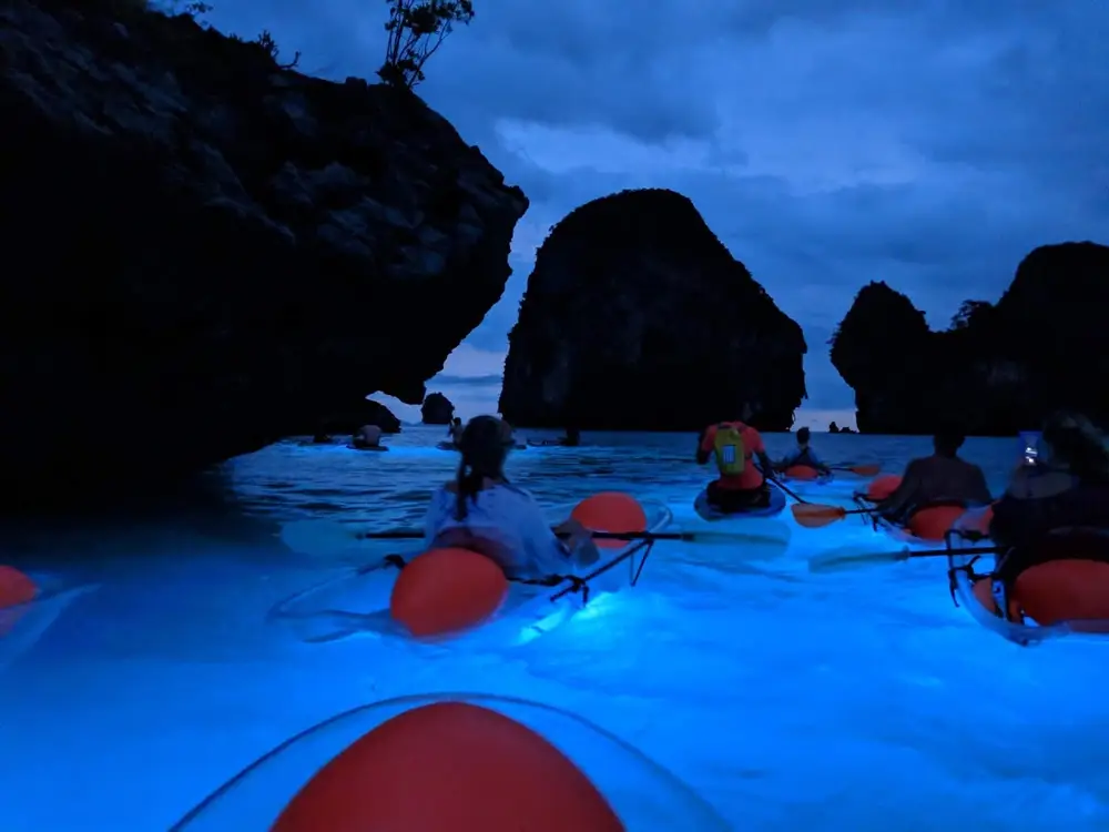 Railay Beach Illuminated Clear Kayak and Bioluminescence Experience image 3