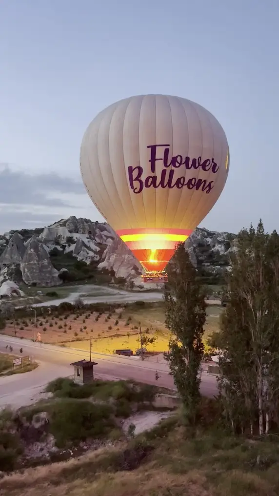 Cappadocia Goreme Hot Air Balloon Flight with Flower Balloons image 1