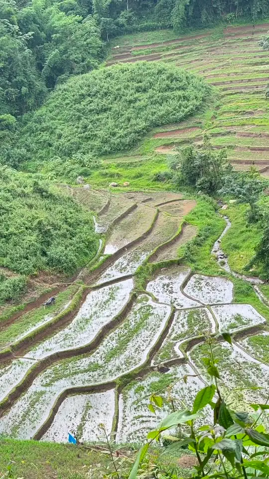 Amazing Trekking Tour In Chiang Mai görseli 1