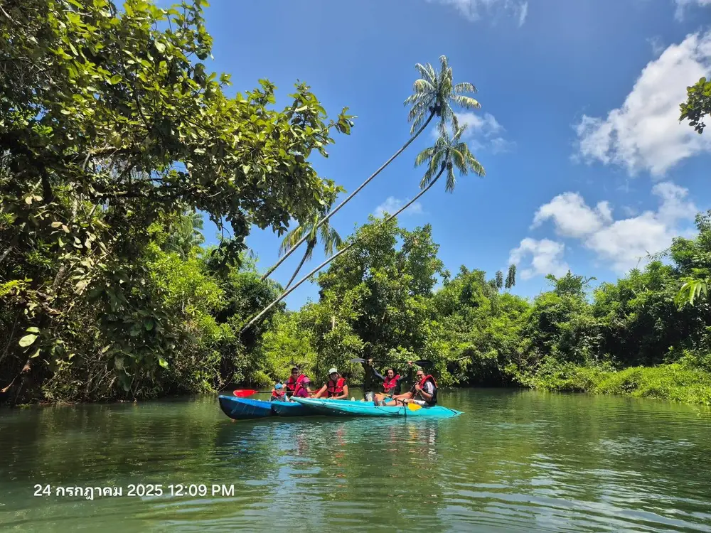 صورة Absolute Kayaking Mangrove Krabi Hidden Mangrove & Limestone Canyon Adventure رقم 3