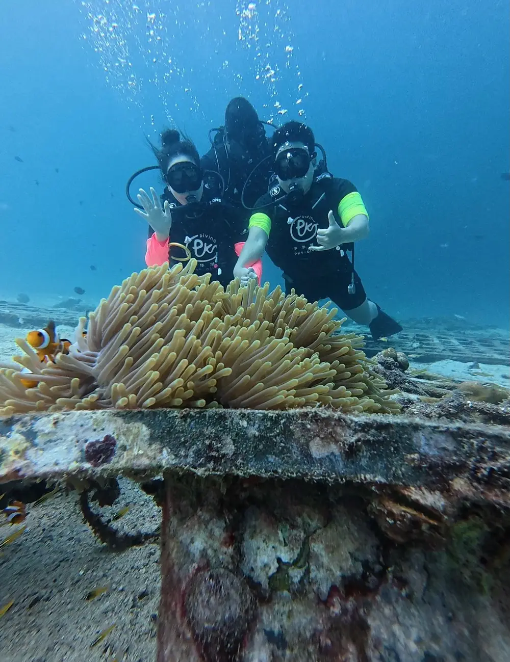 صورة اكتشف الغوص مع PADI من خلال PKT diveing رقم 3