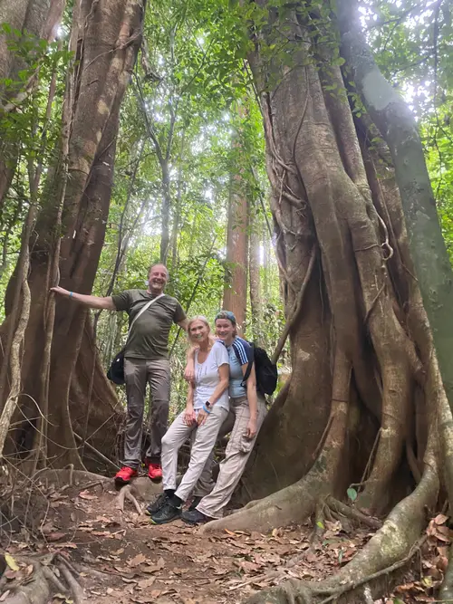 Khaosok Jungle walk day trip 