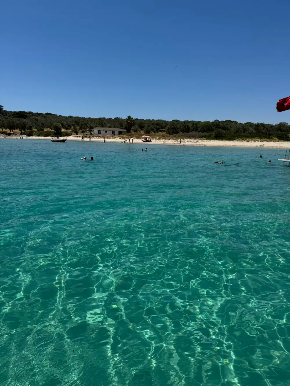 Dikili Limon Boat Tour: Four Bays, Swimming, Lunch and Aegean Scenery image 3