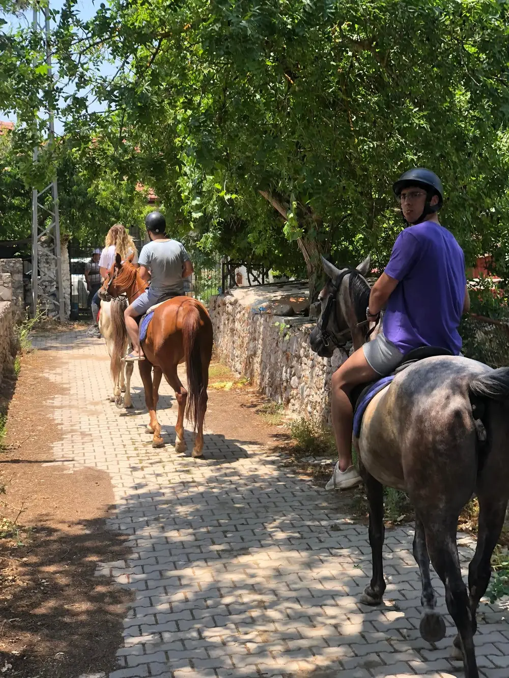 Fethiye Kayakoy Horse Riding Tour with Fethiye Atli Spor Kulubu image 1