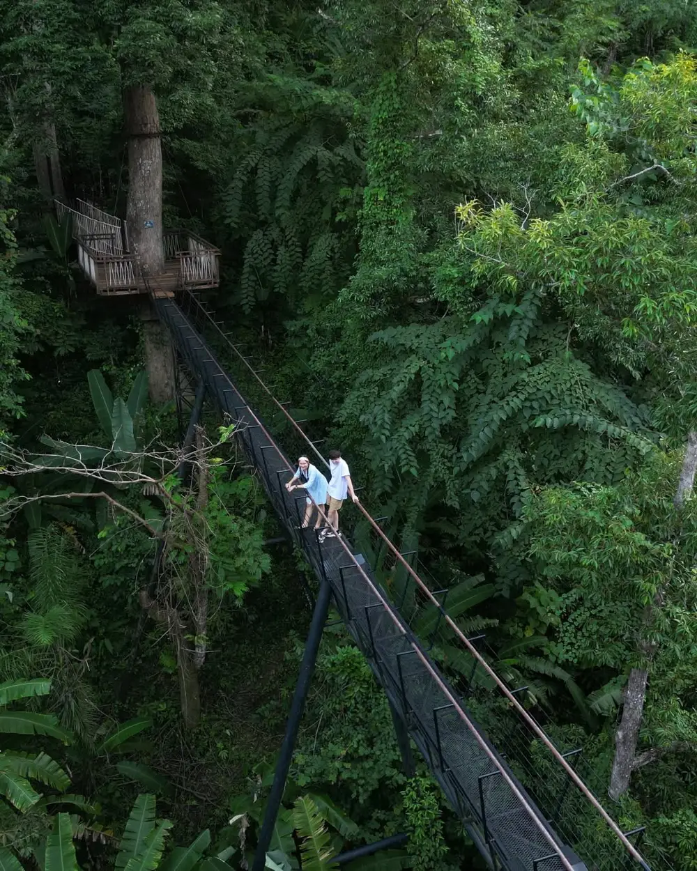 صورة Hanuman World Phuket Adventure Park Tickets Zipline, Skywalk, Roller Zipline, Slingshot رقم 2
