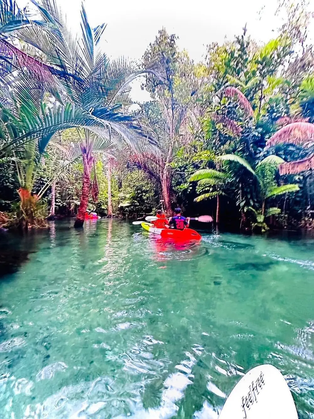 صورة Krabi Thana Kayaking: Klong Nam Sai Crystal Lagoon Adventure رقم 3