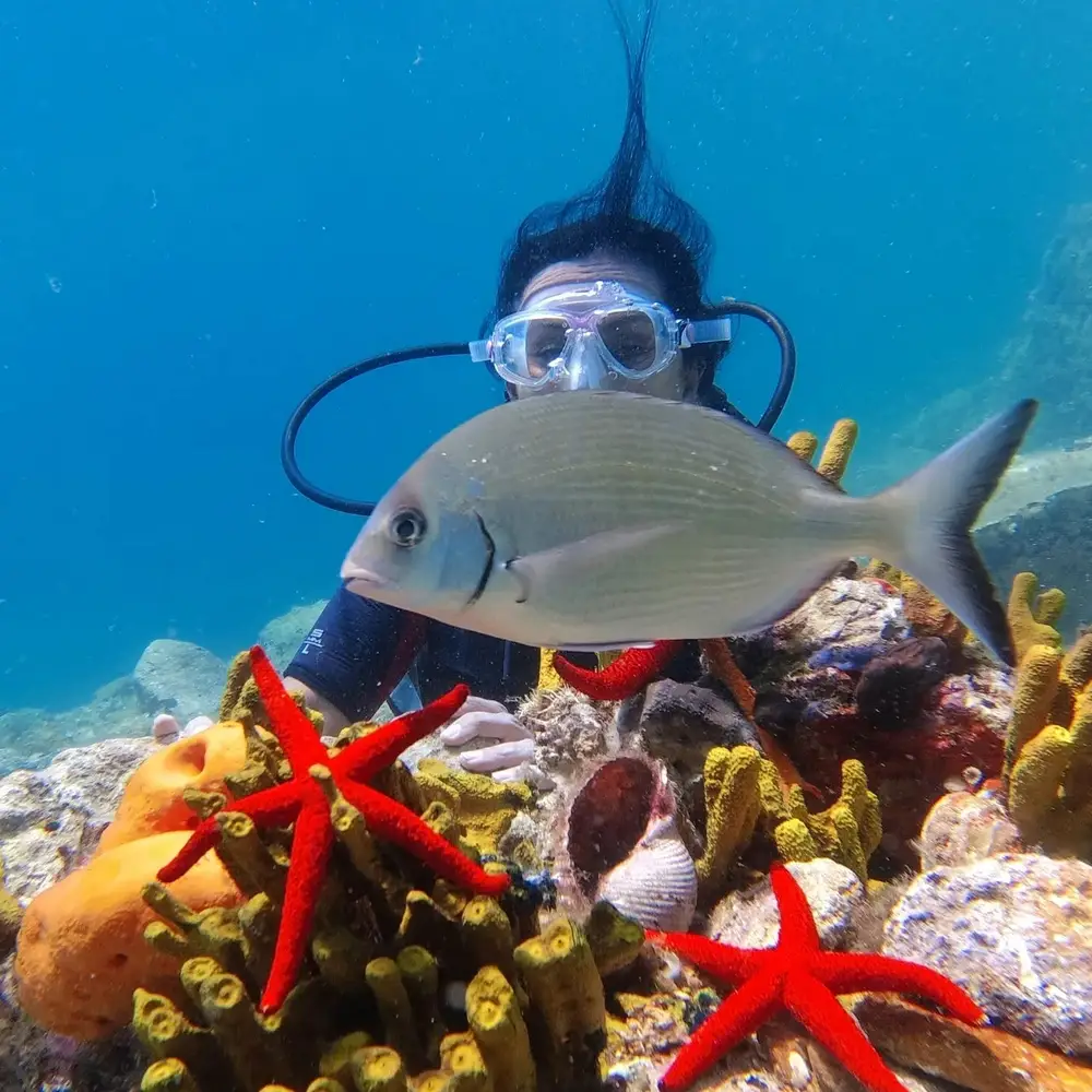 Ayvalik Scuba Diving and Try Dive Boat Tour with Ayvalik 3 Sea image 1