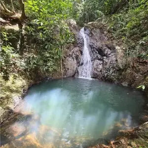 Kohphangan Trekking Tour logo