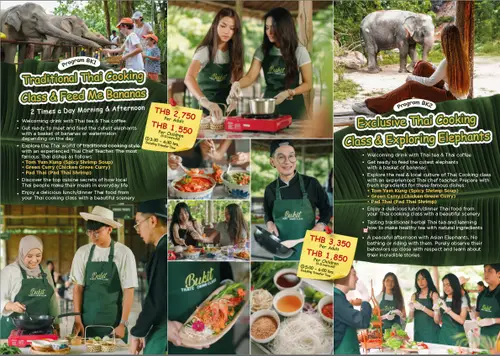 Thai cooking class & elephant feeding