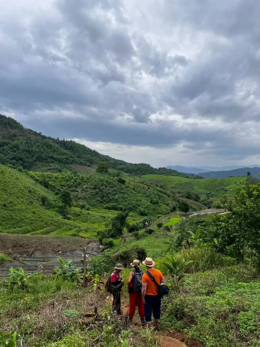 صورة Bamboo Tours Chiang Rai Sightseeing Tour رقم 2
