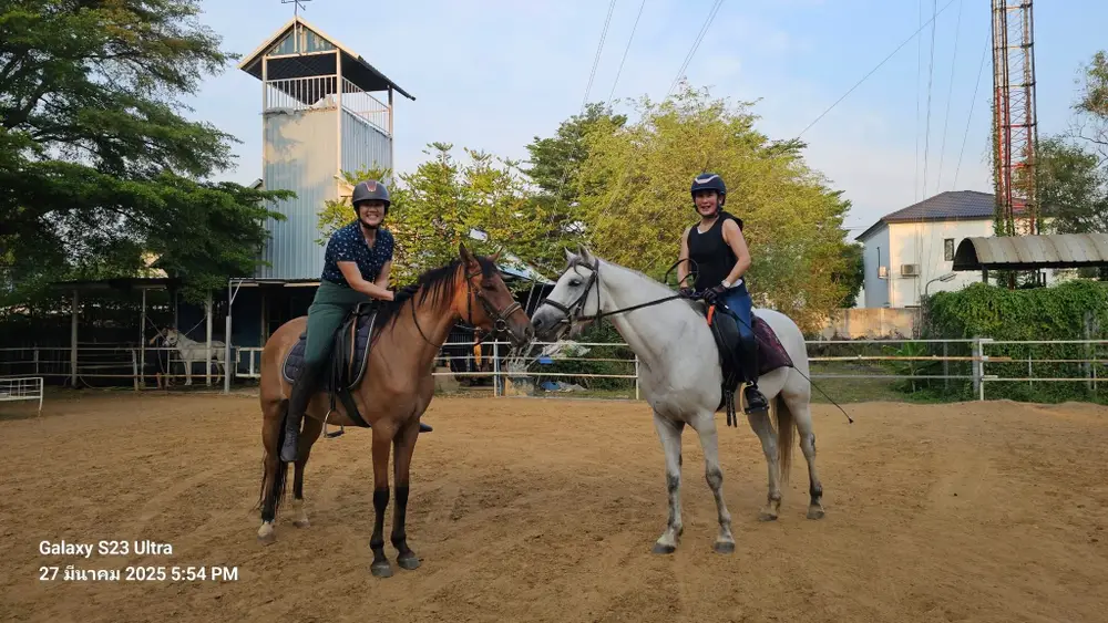 Bangkok Horse Riding Experience at Rodeo Horse Riding BKK image 1