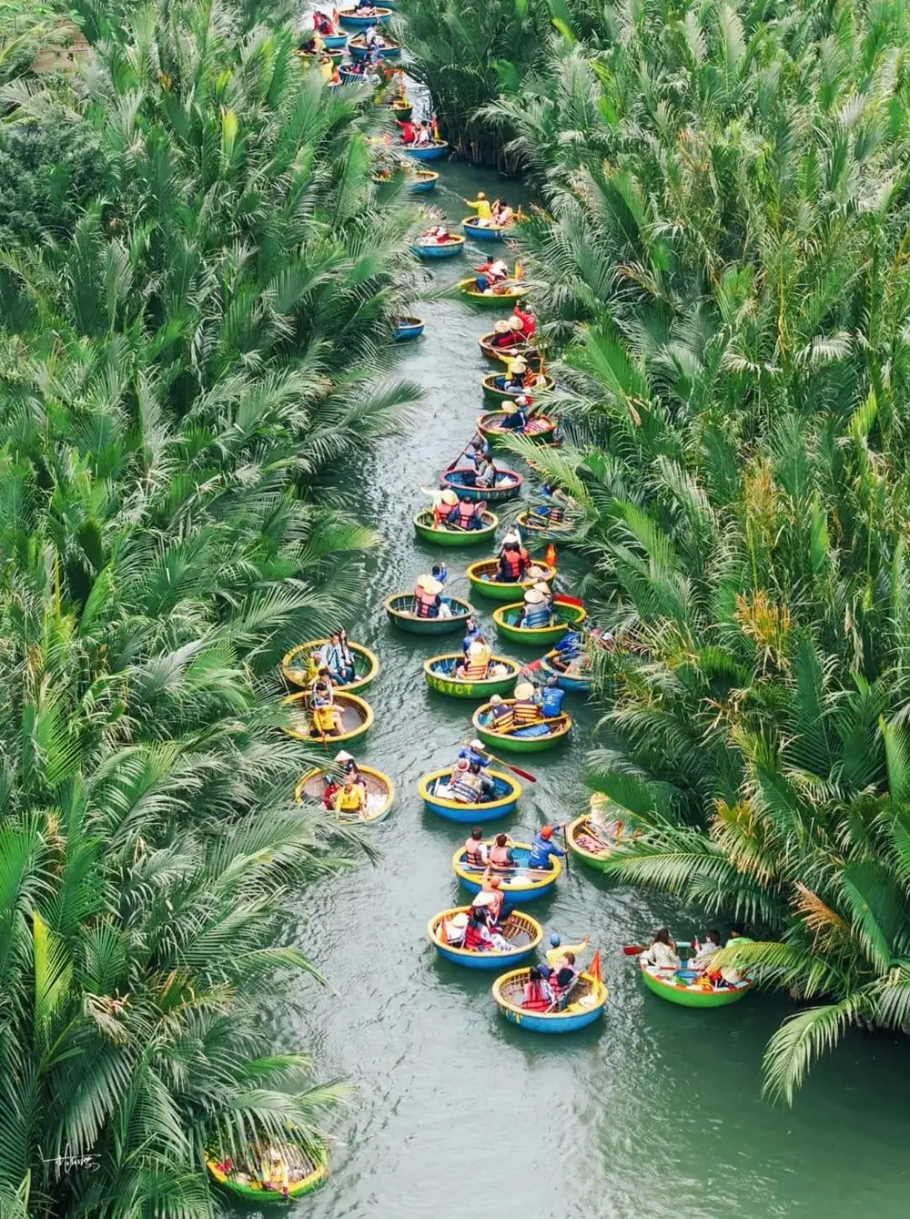 Hoi An Coconut Forest Basket Boat Experience by Coconut Island รูปที่ 1