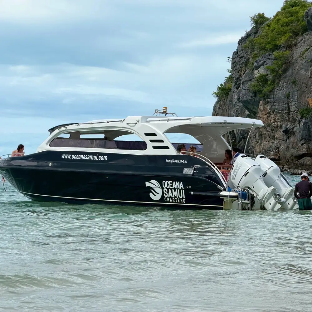 Private Ang Thong Marine Park Tour by Luxury Speedboat image 1