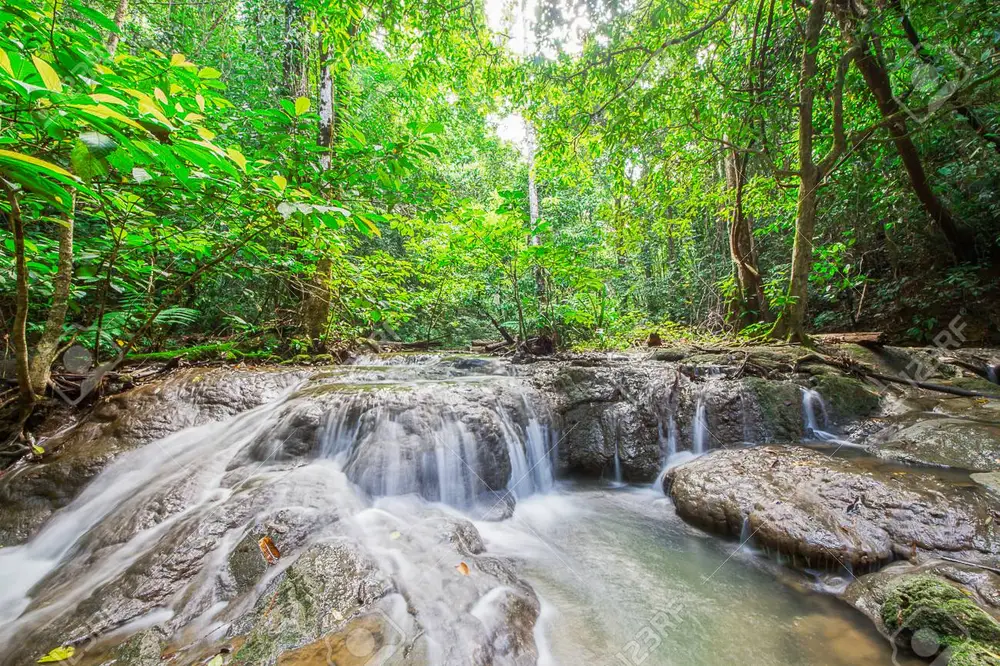 Phang Nga Waterfalls & Rainforest Adventure Tour görseli 2