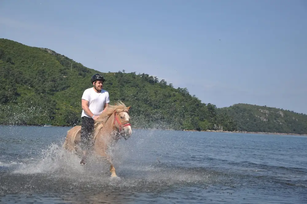 Marmaris Horse Safari with Forest and River Crossing at Pinar Horse Safari image 3