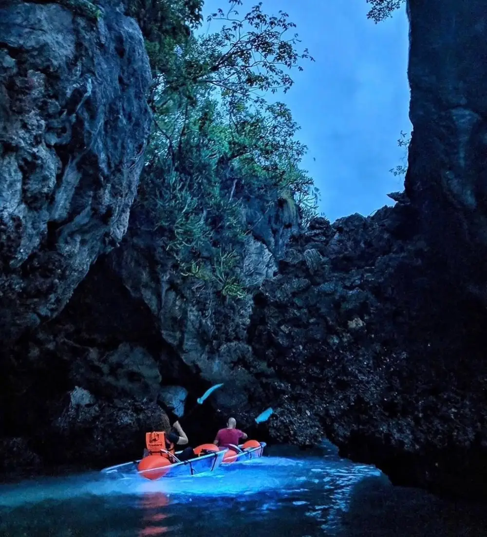 Railay Beach Illuminated Clear Kayak and Bioluminescence Experience image 2