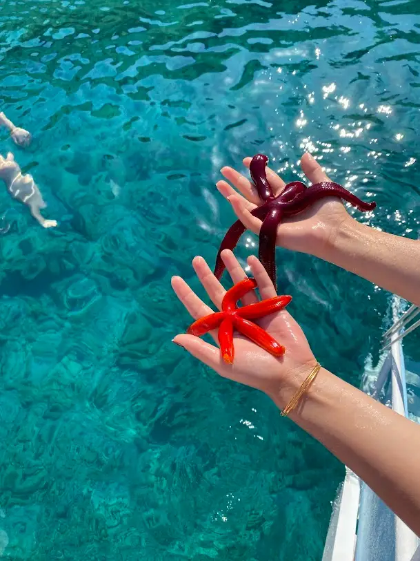 Dost Tour Palamutbuku Boat Trip | Knidos, Datca Bays and Lunch image 1