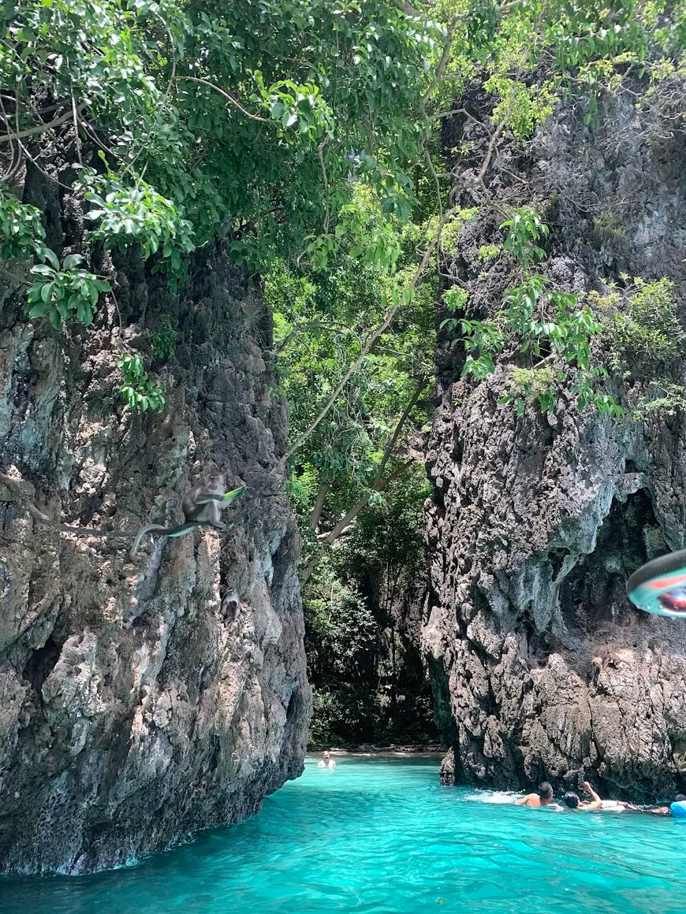 Phi Phi Private Longtail Boat Tours: Maya Bay, Bamboo Island and Snorkeling image 2