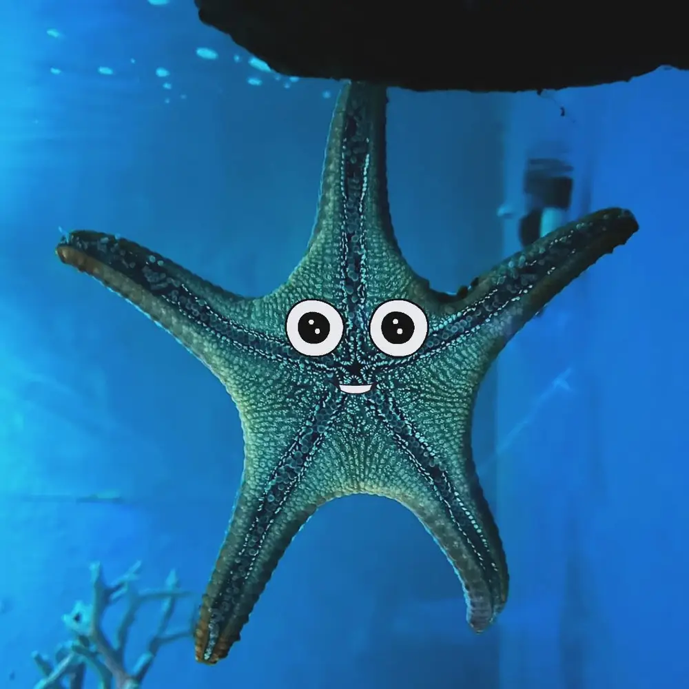 Underwater World Pattaya Admission Ticket 105-Metre Aquarium Tunnel & Feeding Shows görseli 2