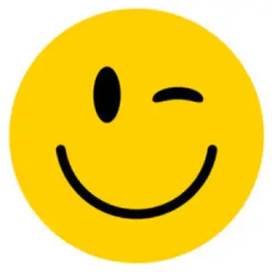 Fun and Smile Travel logo