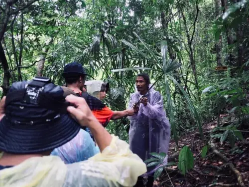 Full Day Jungle Trek with Khao Sok Natureskills 