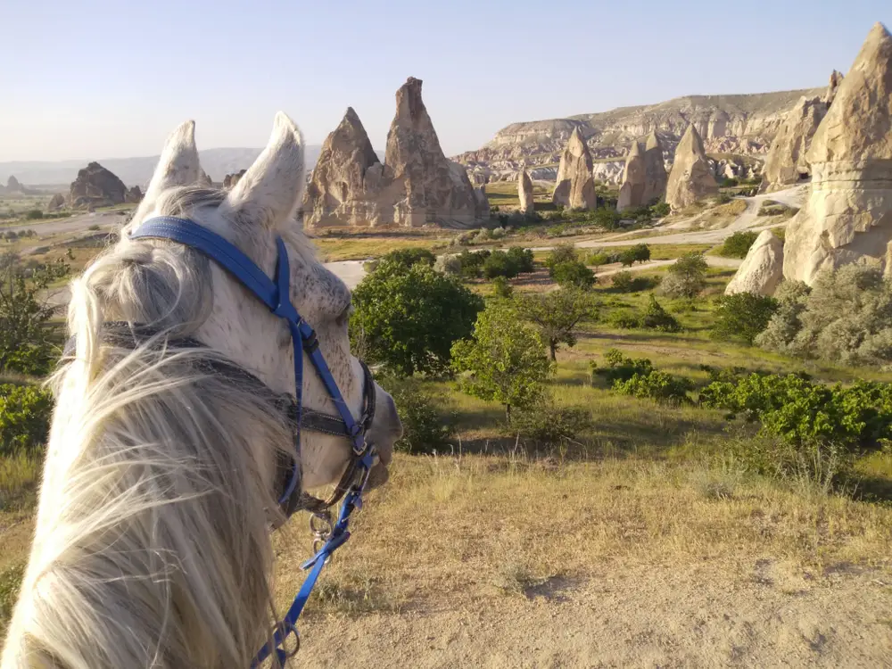 Cappadocia Horse Riding Experience from Cavusin with Valley Routes image 3