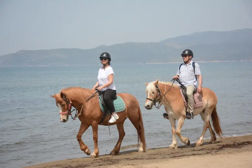 Kusadasi Horse Safari from Forest Trails to Pamucak Beach image 2