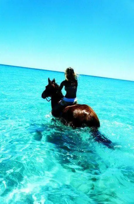 Marmaris Horse Safari Through Forest and River Trails in Hisaronu image 2