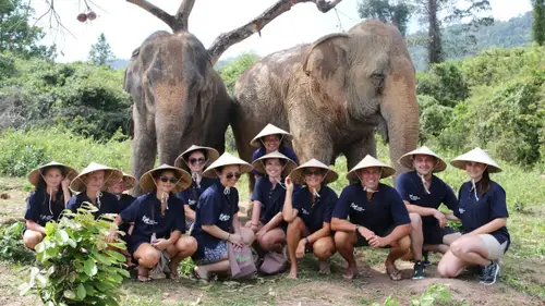 Elephant food package with Samui Elephant Home