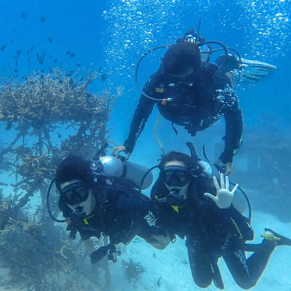 Koh Tao PADI Diving Courses and Fun Dives by Coral Grand Divers image 2