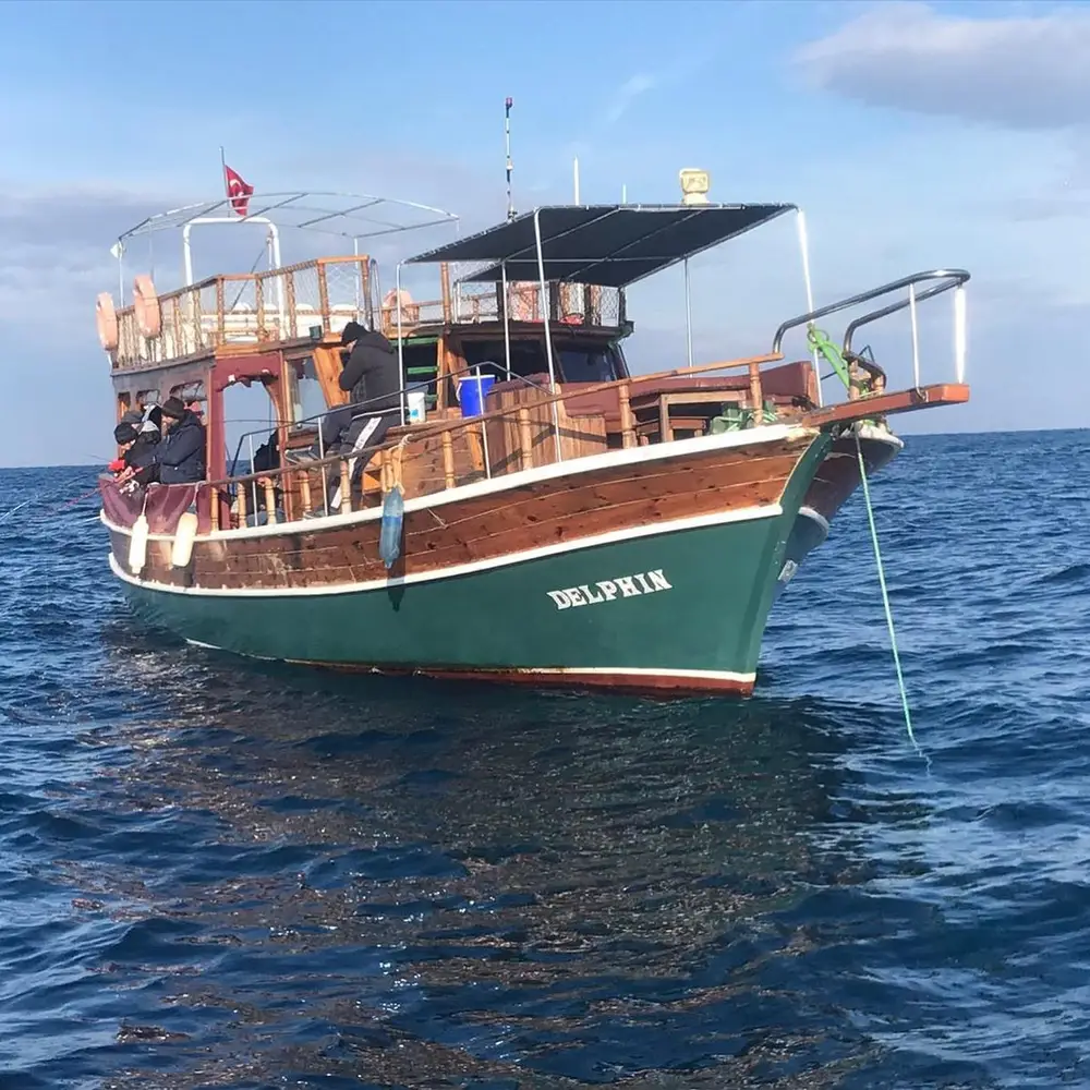 Delphin Tours: Full-Day Foça Islands and Bays Cruise with Lunch image 3
