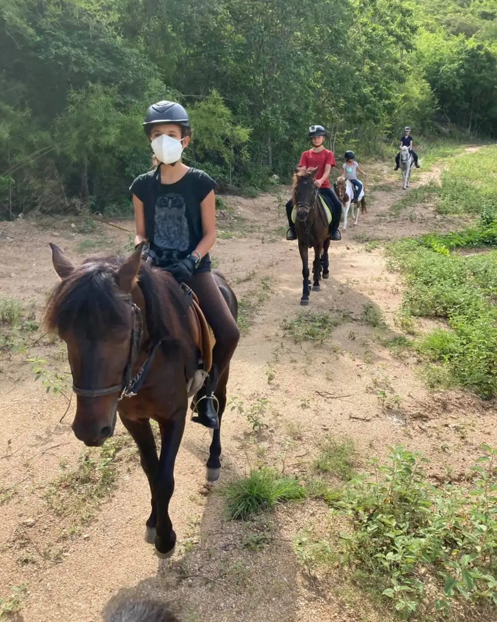 Hua Hin Horse Riding Experience at Hua Hin Horse Club image 3