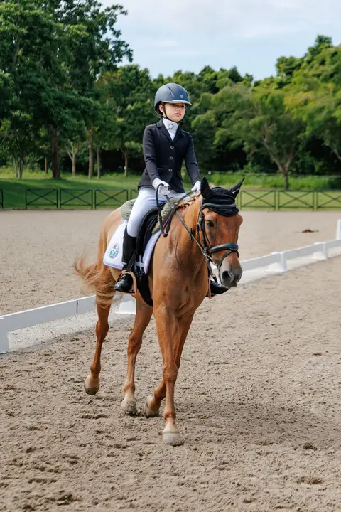 Shetland Pony Riding Experience 1