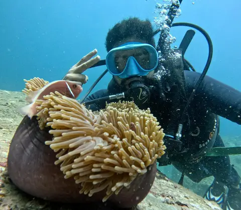 Discover Scuba Diving - 2 Dives 2