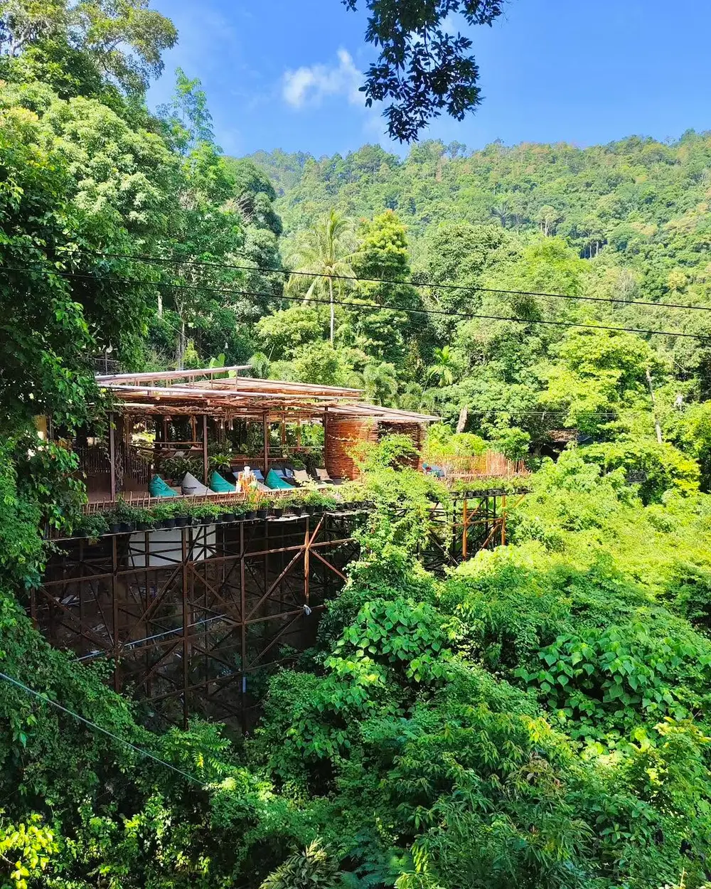 صورة Tree Bridge Zipline Koh Samui 10-Cable Jungle Adventure رقم 2