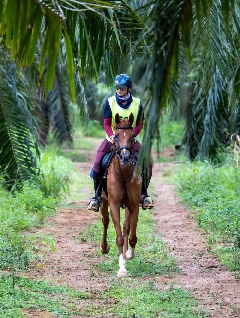 Pattaya Horseback Trail Riding Experience with Wind of Heaven image 3