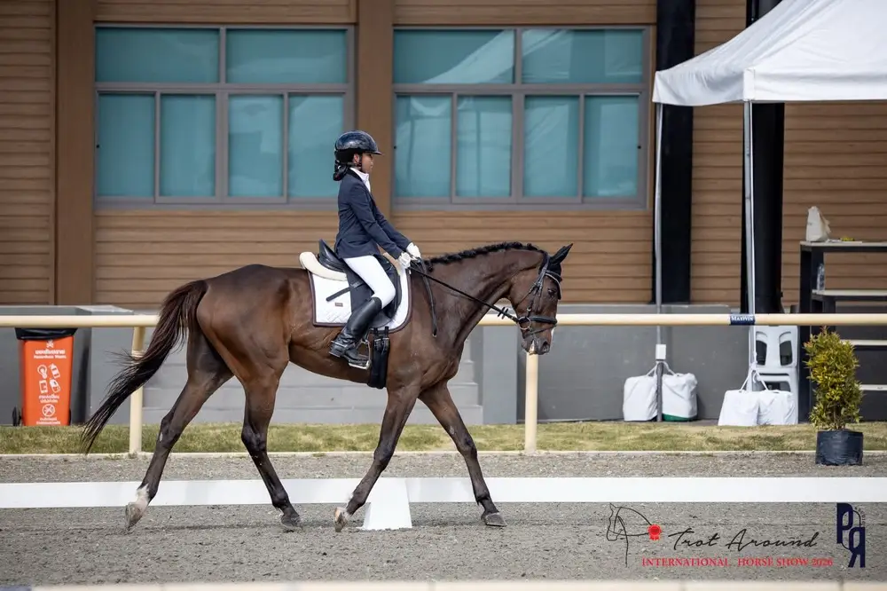 Pathum Thani Horse Riding Experience at Checkmate Horse Club image 1