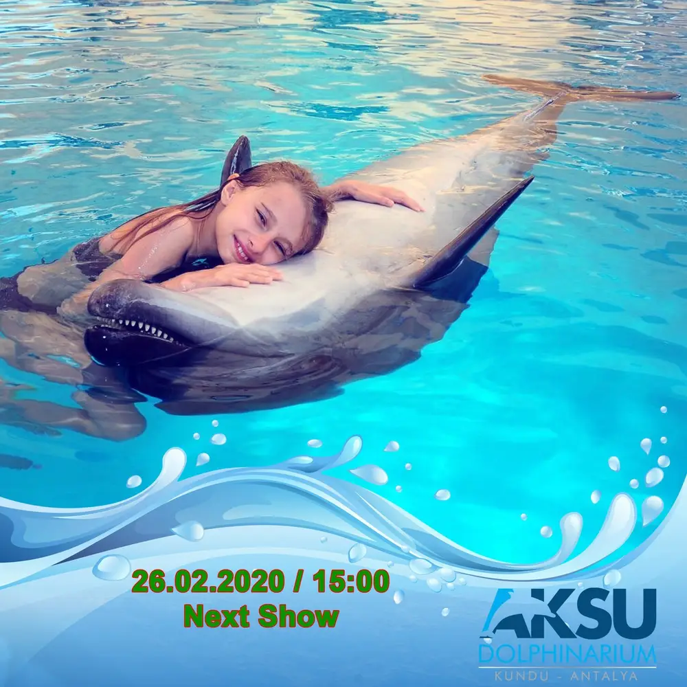 Imagen 2 de Antalya Aksu Dolphin and Seal Show Ticket with Reptile Zoo Entry