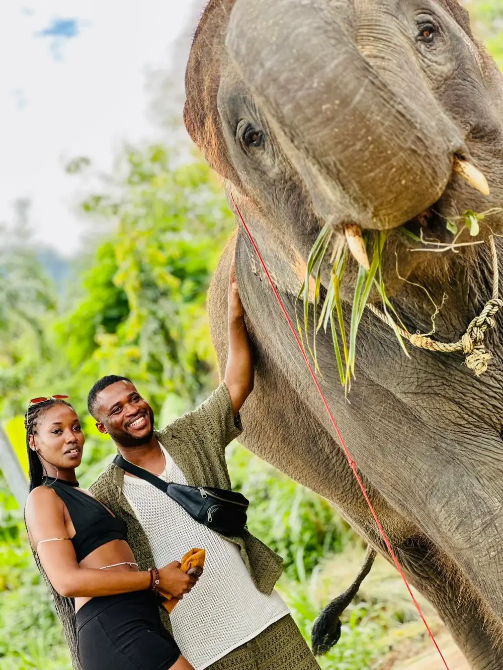 Phuket City Tour with Tiger, Big Buddha, Chalong Temple, ATV Ride, Elephant Trekking görseli 3